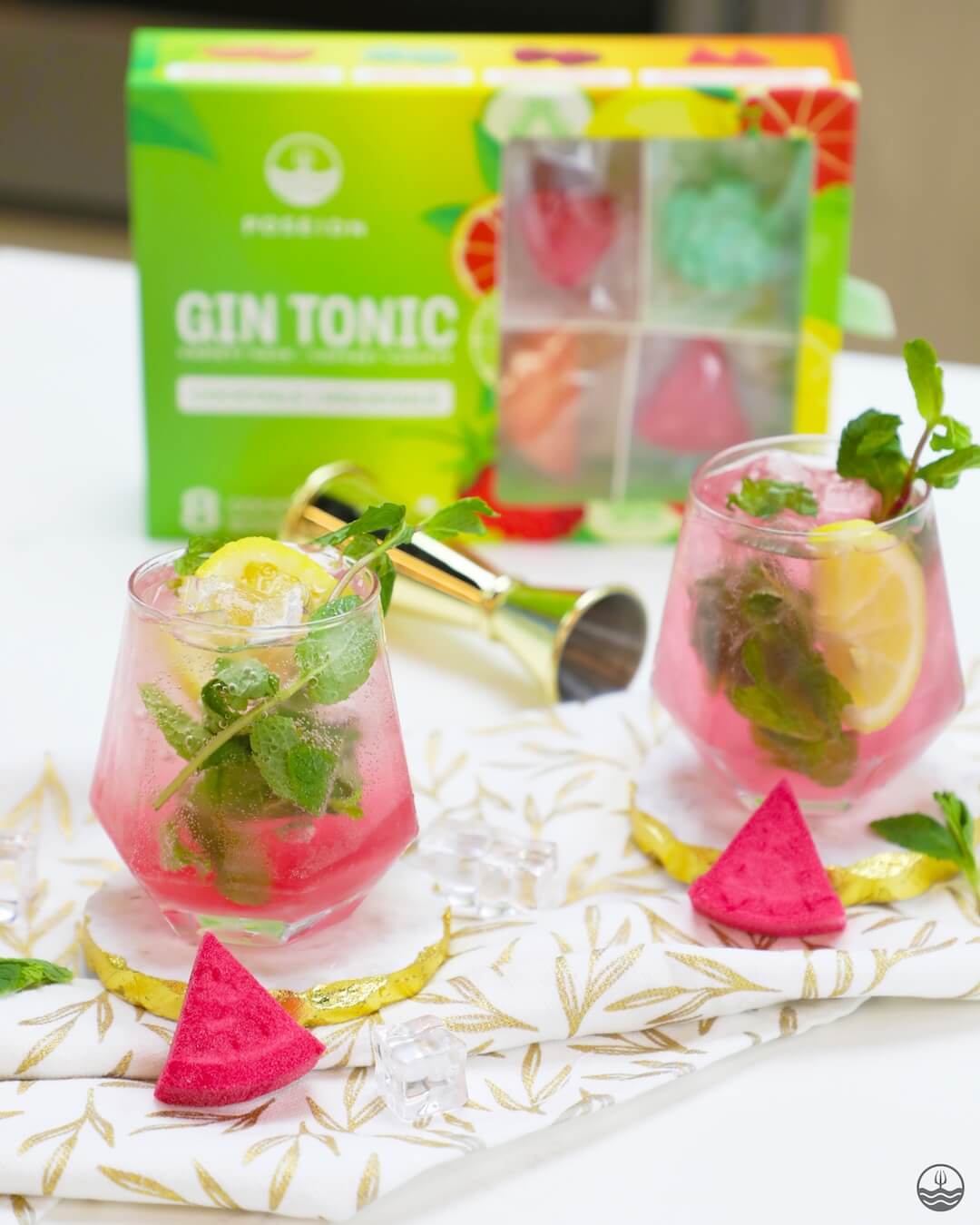 Coffret Variété de Gins Tonics/Mocktails