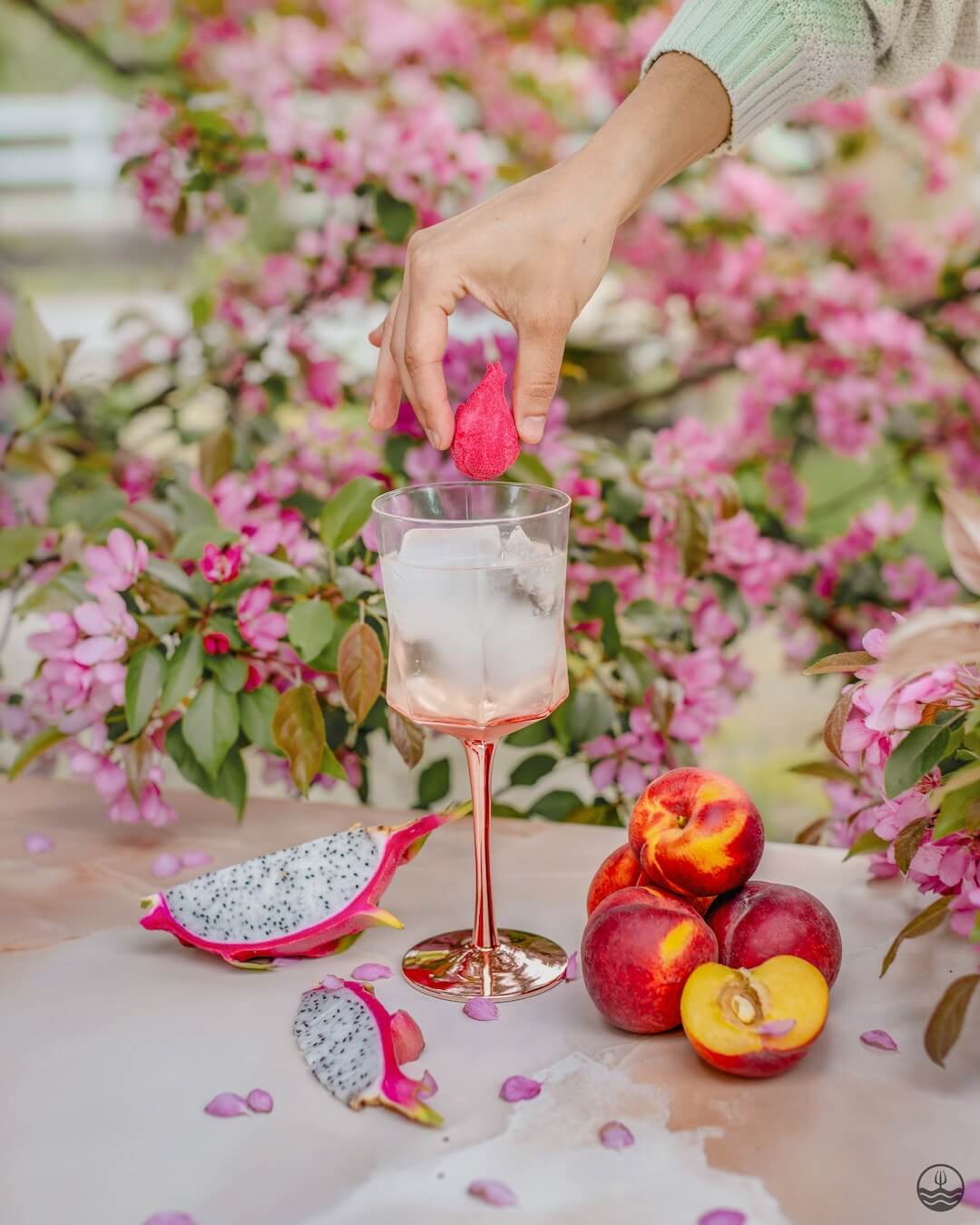 Sangria - Fruit du dragon, Pêche & Fleur de cerisier