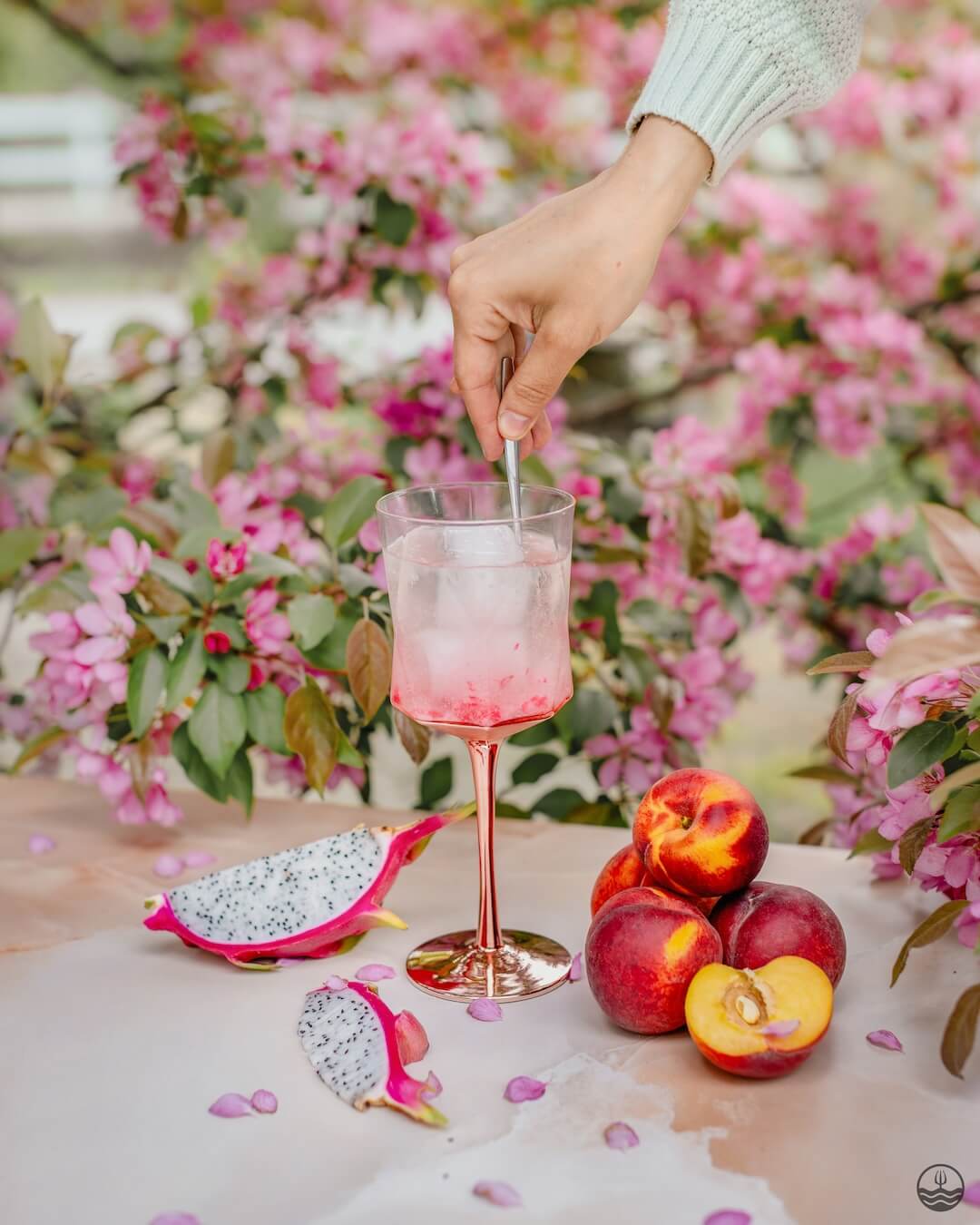 Sangria - Fruit du dragon, Pêche & Fleur de cerisier