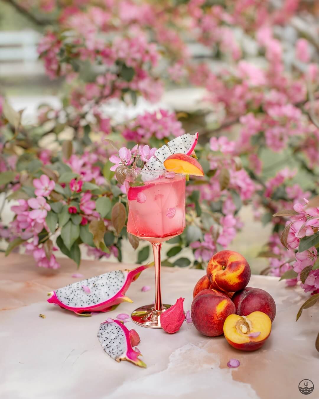Sangria - Fruit du dragon, Pêche & Fleur de cerisier