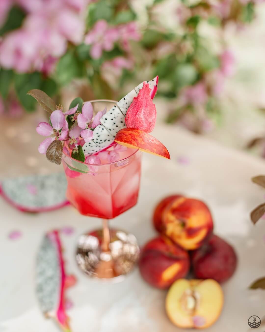 Sangria - Fruit du dragon, Pêche & Fleur de cerisier