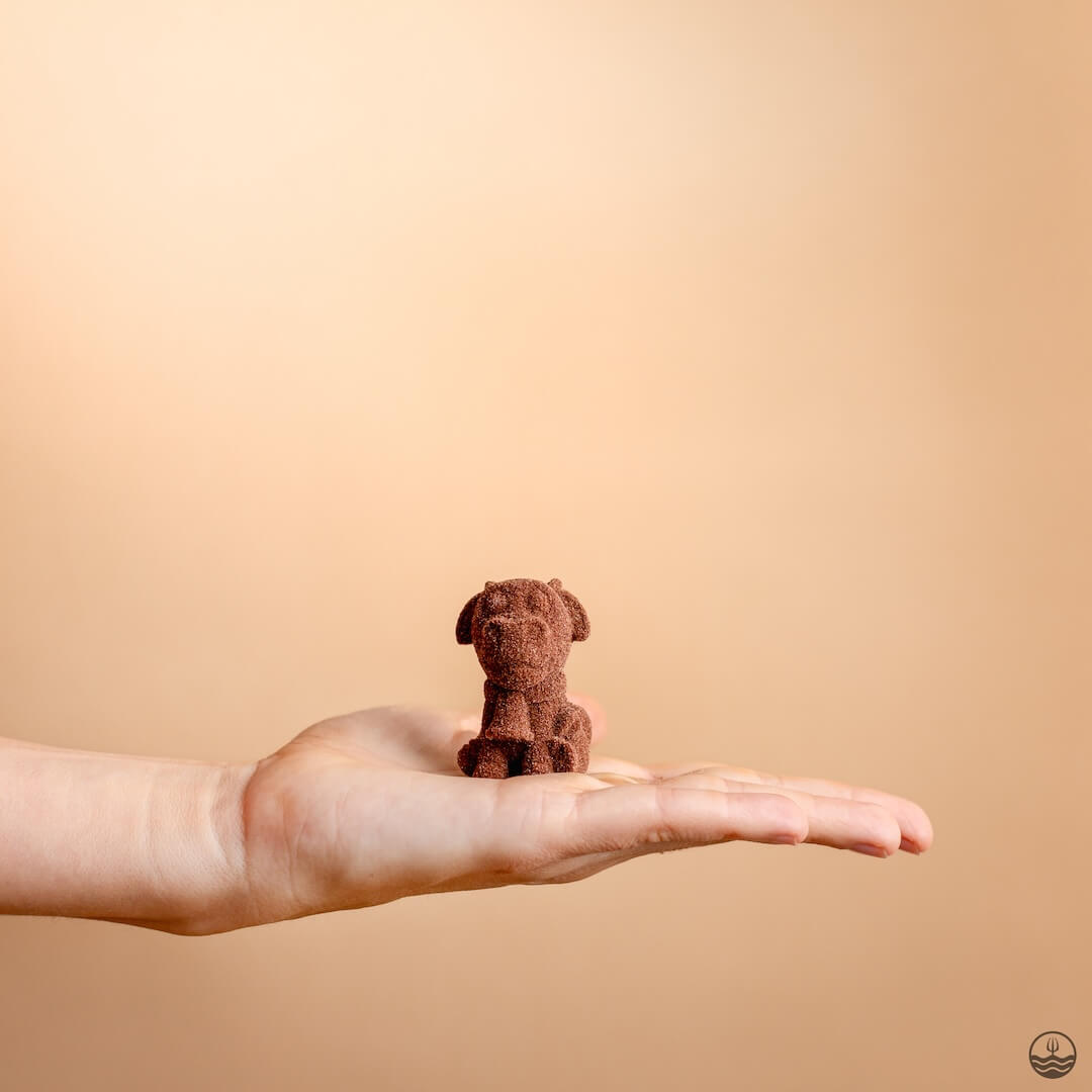 Chocolat Chaud - Dulce de Leche