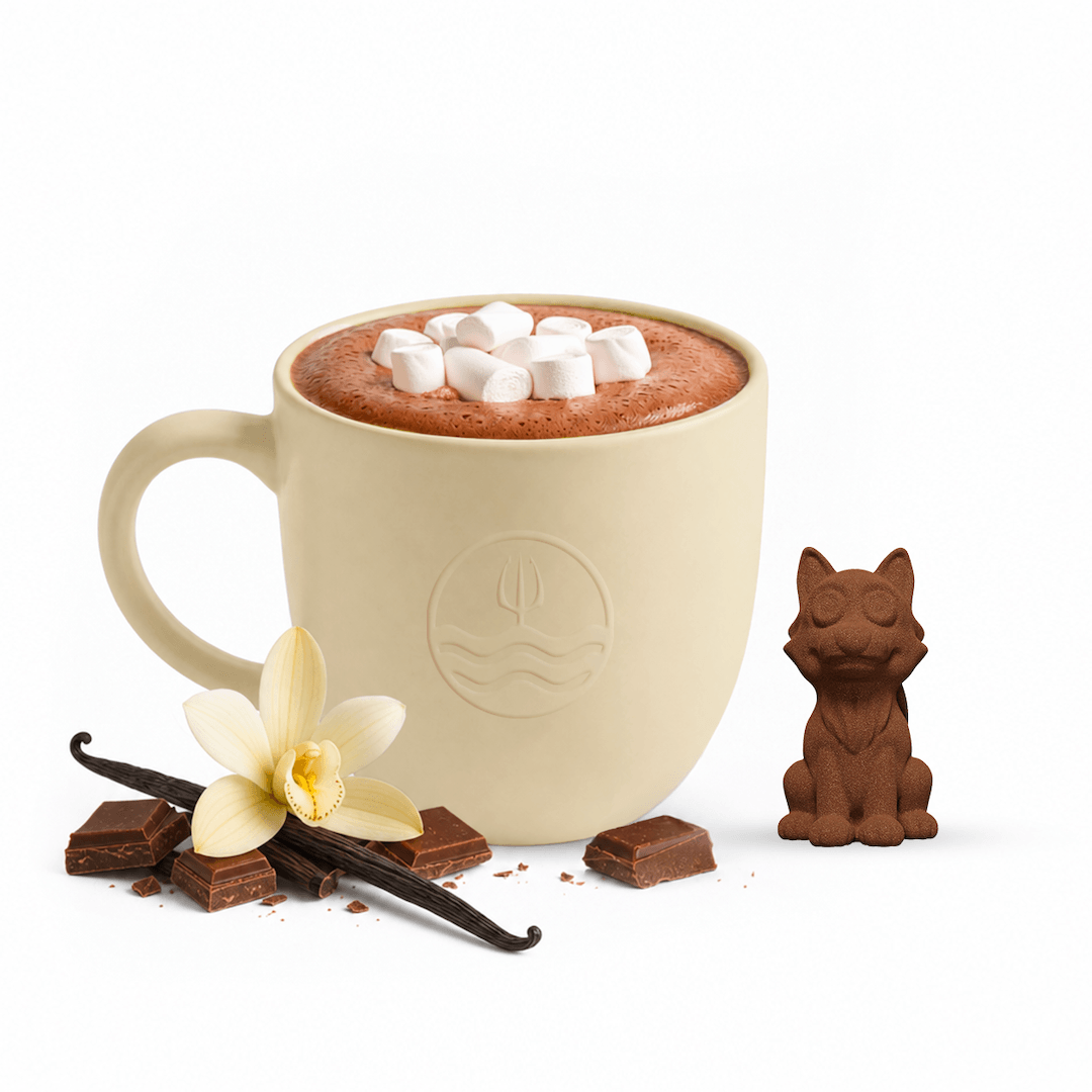 Chocolat Chaud - Vanille Française
