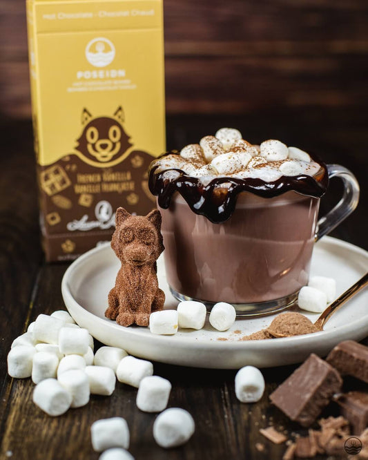 Chocolat Chaud - Vanille Française