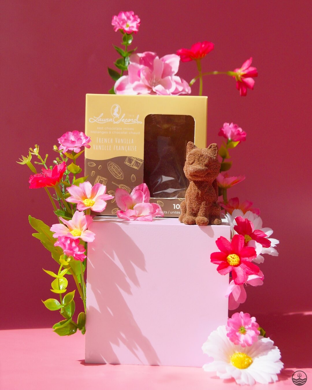 Chocolat Chaud - Vanille Française