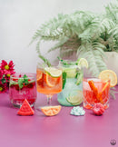 Coffret Variété de Gins Tonics/Mocktails