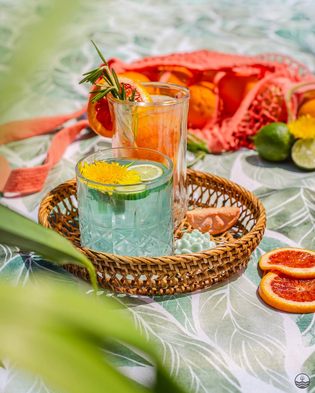 Coffret Variété de Gins Tonics/Mocktails
