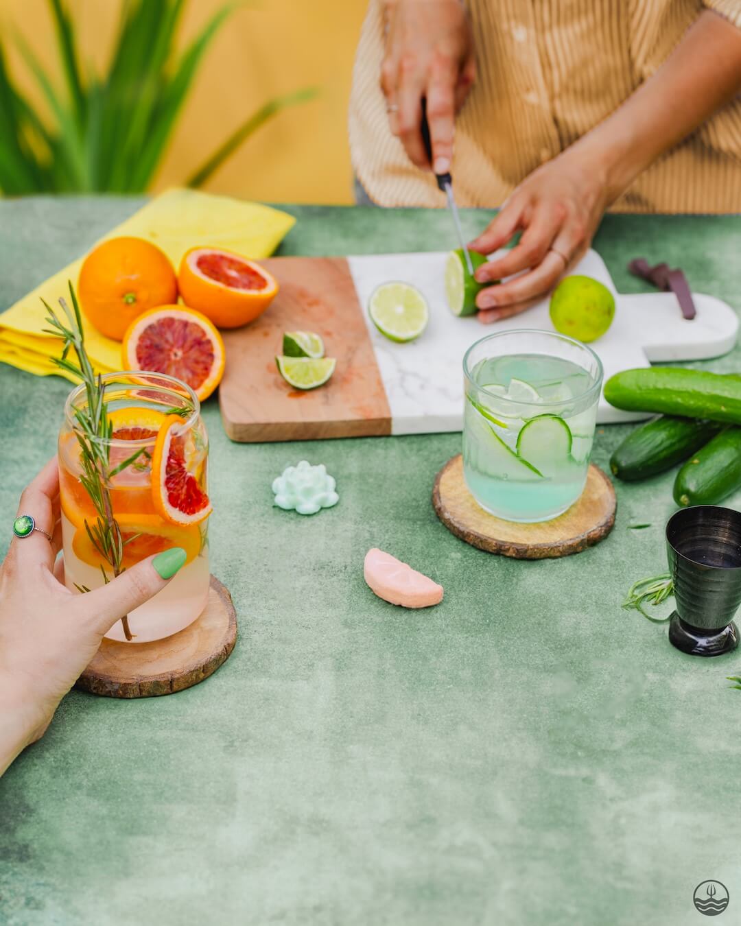 Coffret Variété de Gins Tonics/Mocktails