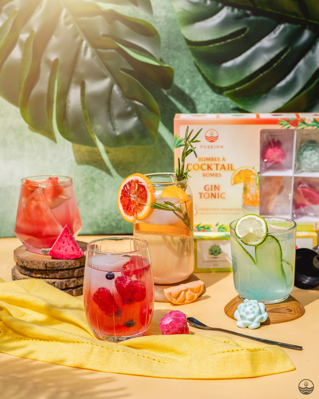 Coffret Variété de Gins Tonics/Mocktails
