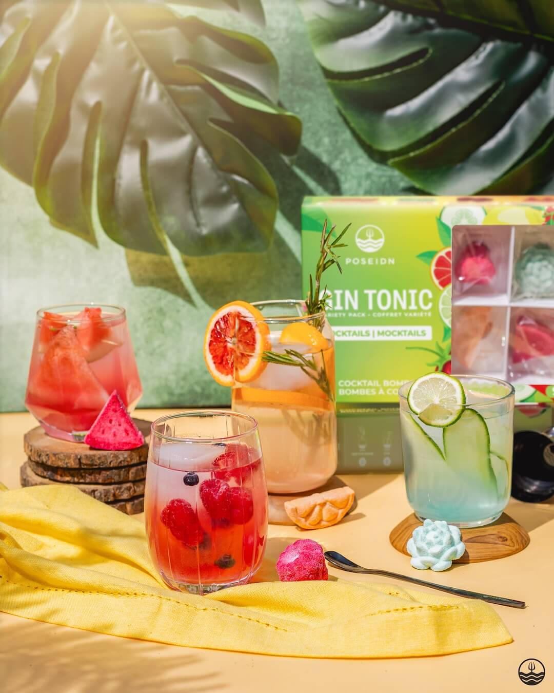 Coffret Variété de Gins Tonics/Mocktails