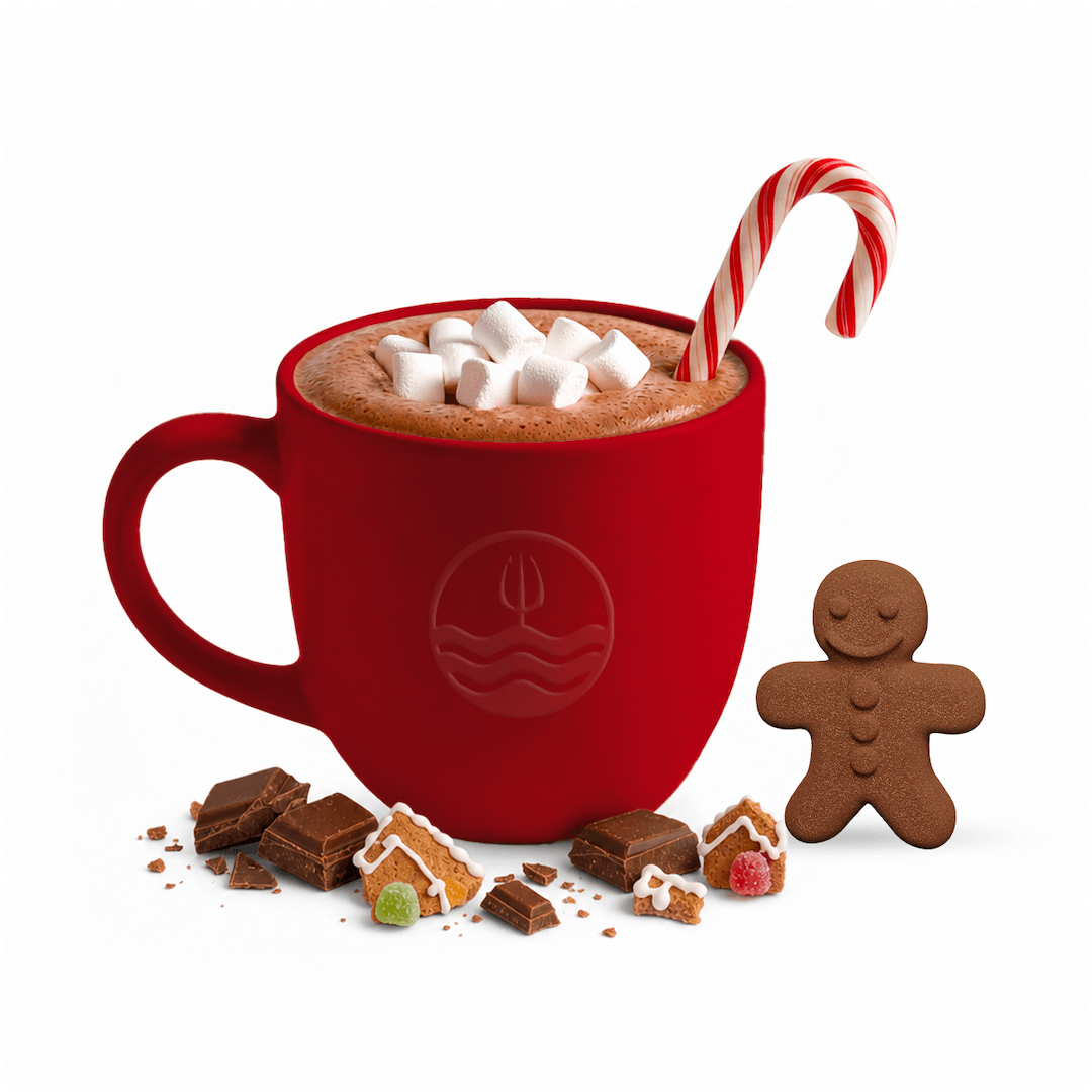Chocolat chaud - Pain d'épices
