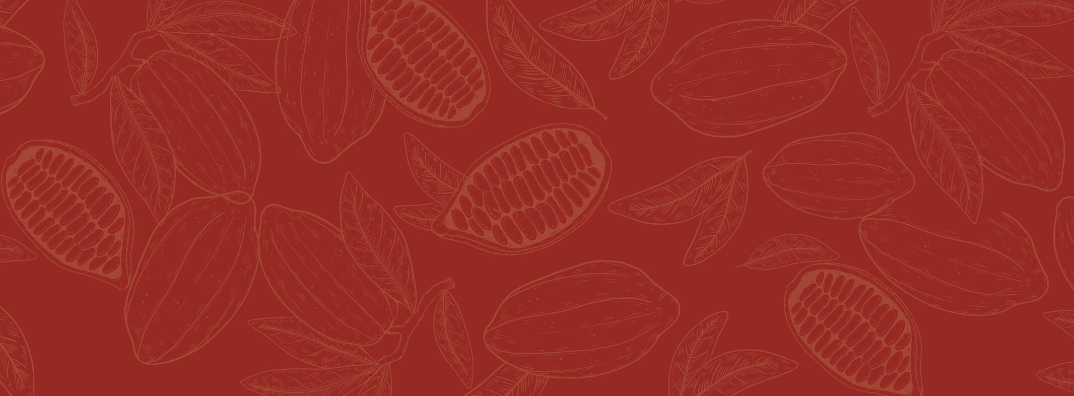 COFFRET RUBIS DE CHOCOLATS CHAUDS